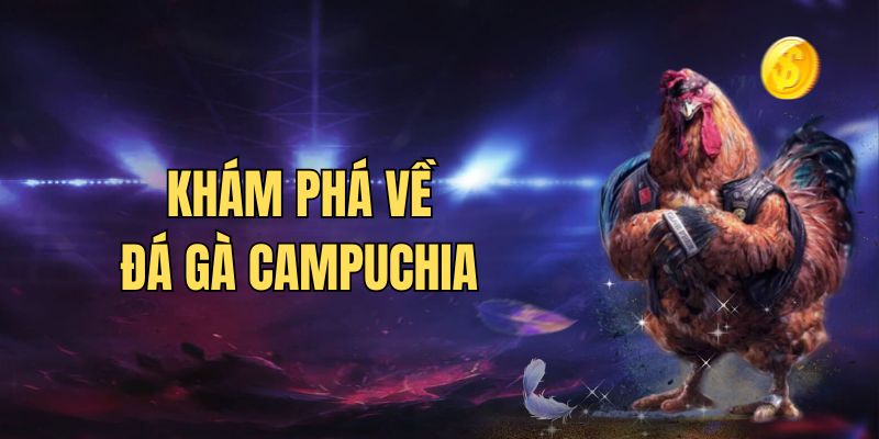 Giới thiệu đá gà casino campuchia